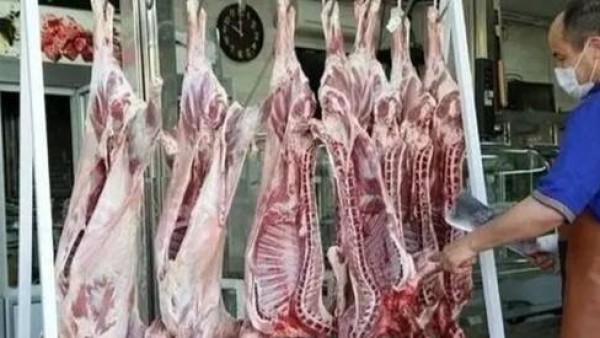 عرضه گوشت گرم ارزان‌قیمت در میادین میوه و تره‌بار