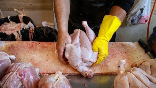 تولیدکنندگان پای کارند؛ گرانفروشی مشکل اصلی بازار مرغ