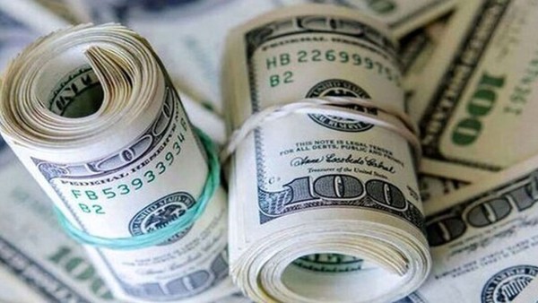 سیاست جدید ارزی دولت برای کالاهای اساسی؛ تغییر بزرگ در تخصیص یارز