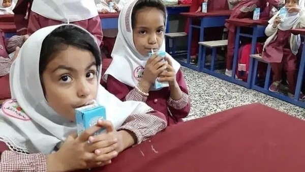 نتایج شگفت انگیز برنامه شیر مدارس: کاهش ۱.۵ درصدی کوتاه قدی و رضایت ۹۰ درصدی