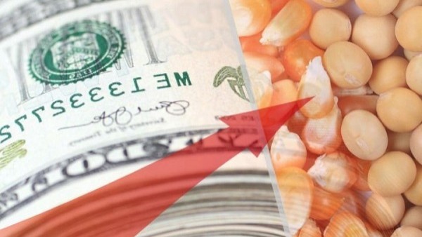 گرانی 300 درصدی پروتئین با اطلاعیه های ضد و نقیض دولت