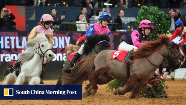 Hong Kong teen shines at five-star show jumping event