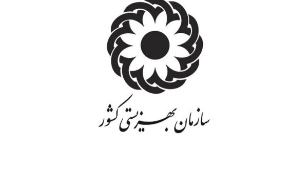 ایجاد ۱۸ هزار فرصت شغلی جدید در دهه فجر توسط بهزیستی